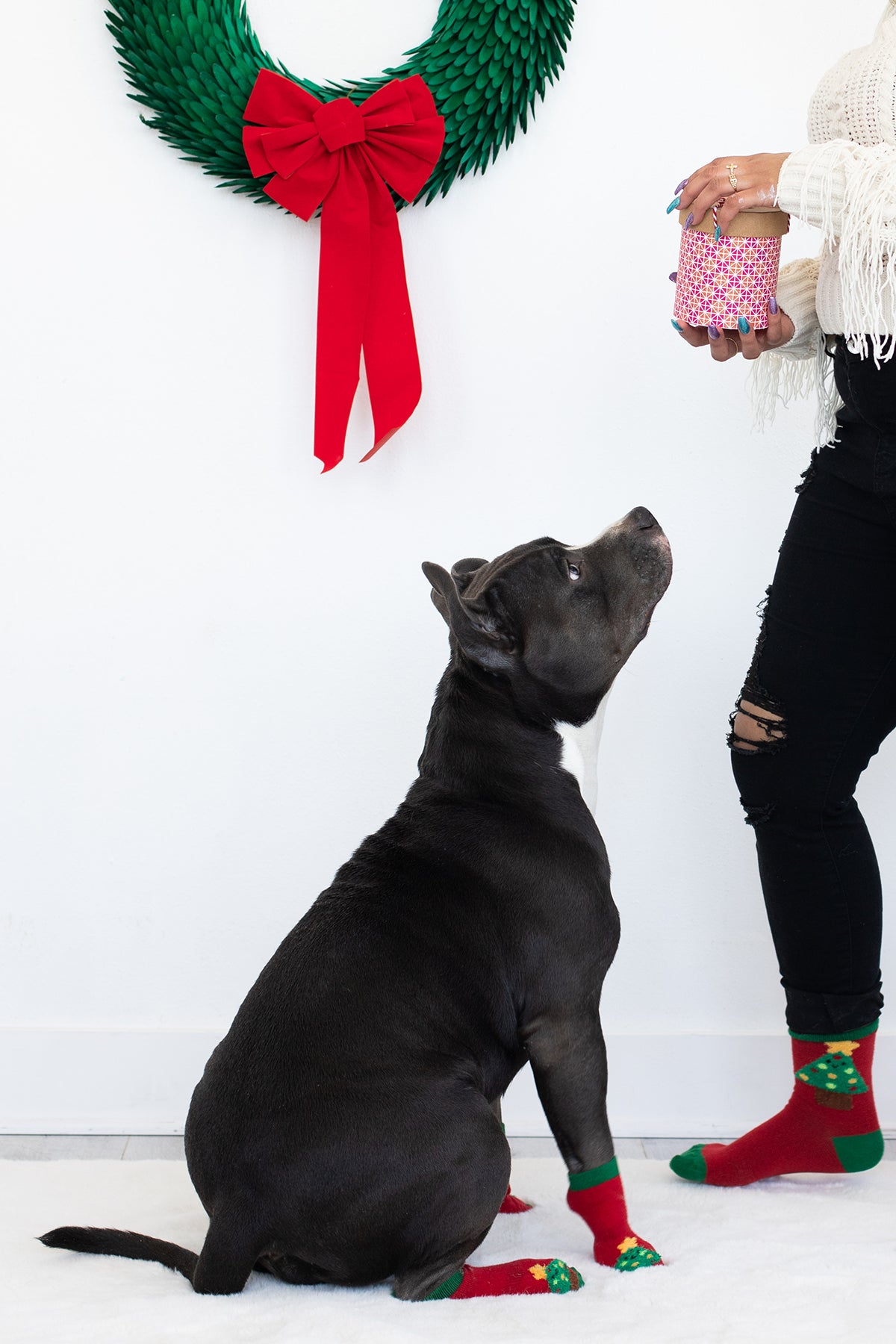 Pearhead Holiday Tree Human and Dog Sock Set 2pc