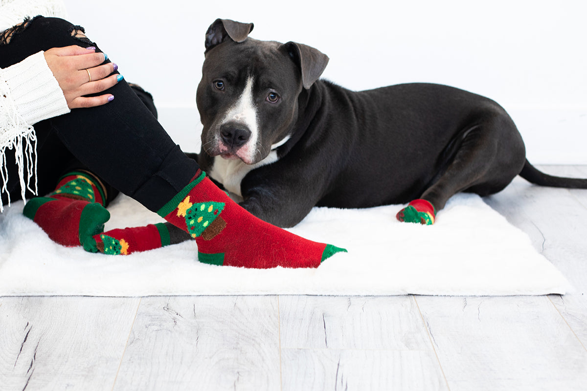 Pearhead Holiday Tree Human and Dog Sock Set 2pc