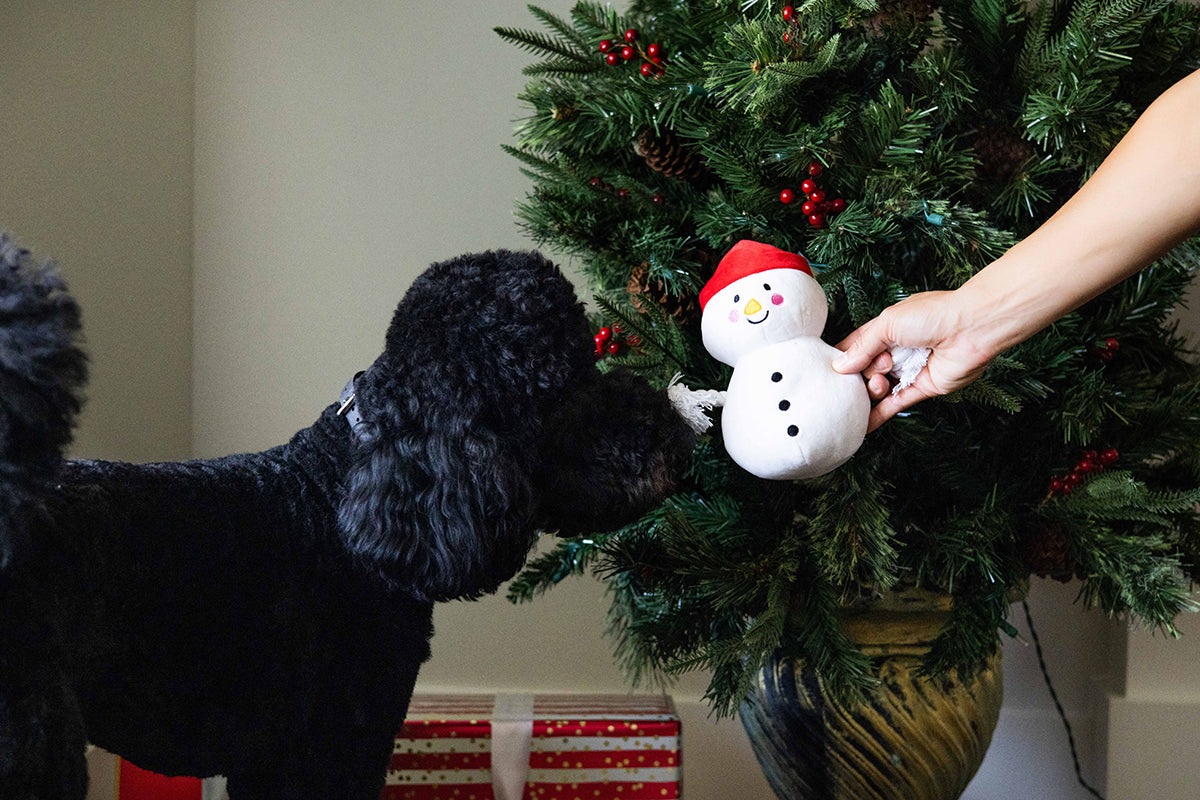 Pearhead Snowman Dog Toy