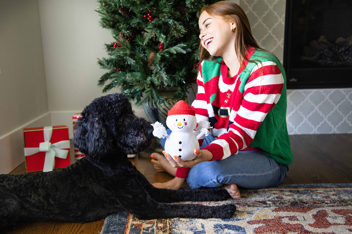 Pearhead Snowman Dog Toy