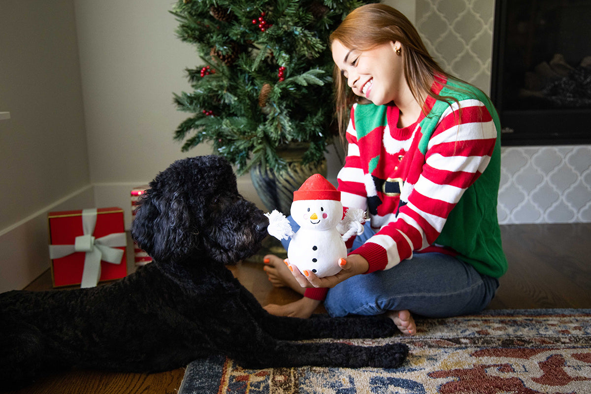 Pearhead Snowman Dog Toy