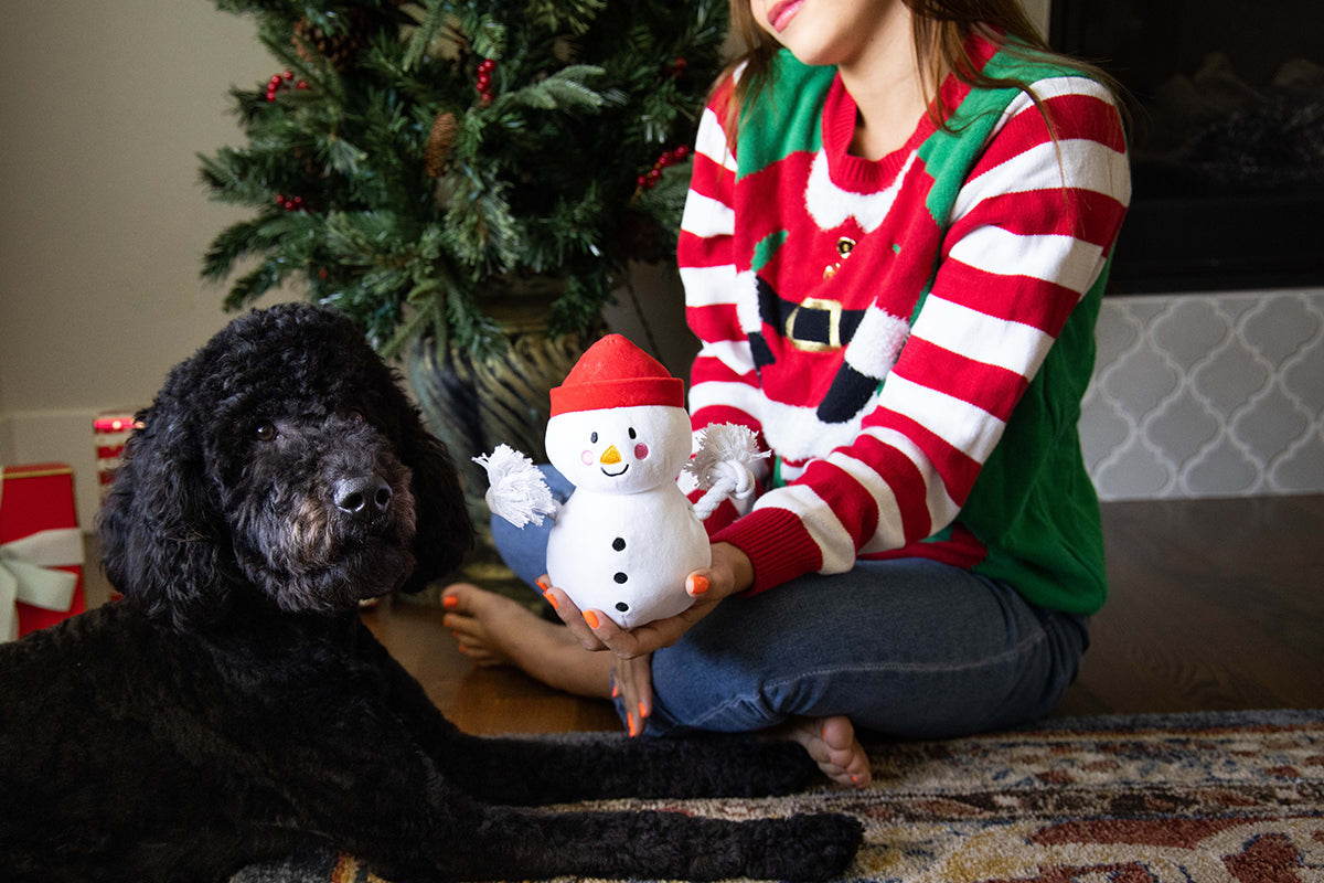 Pearhead Snowman Dog Toy