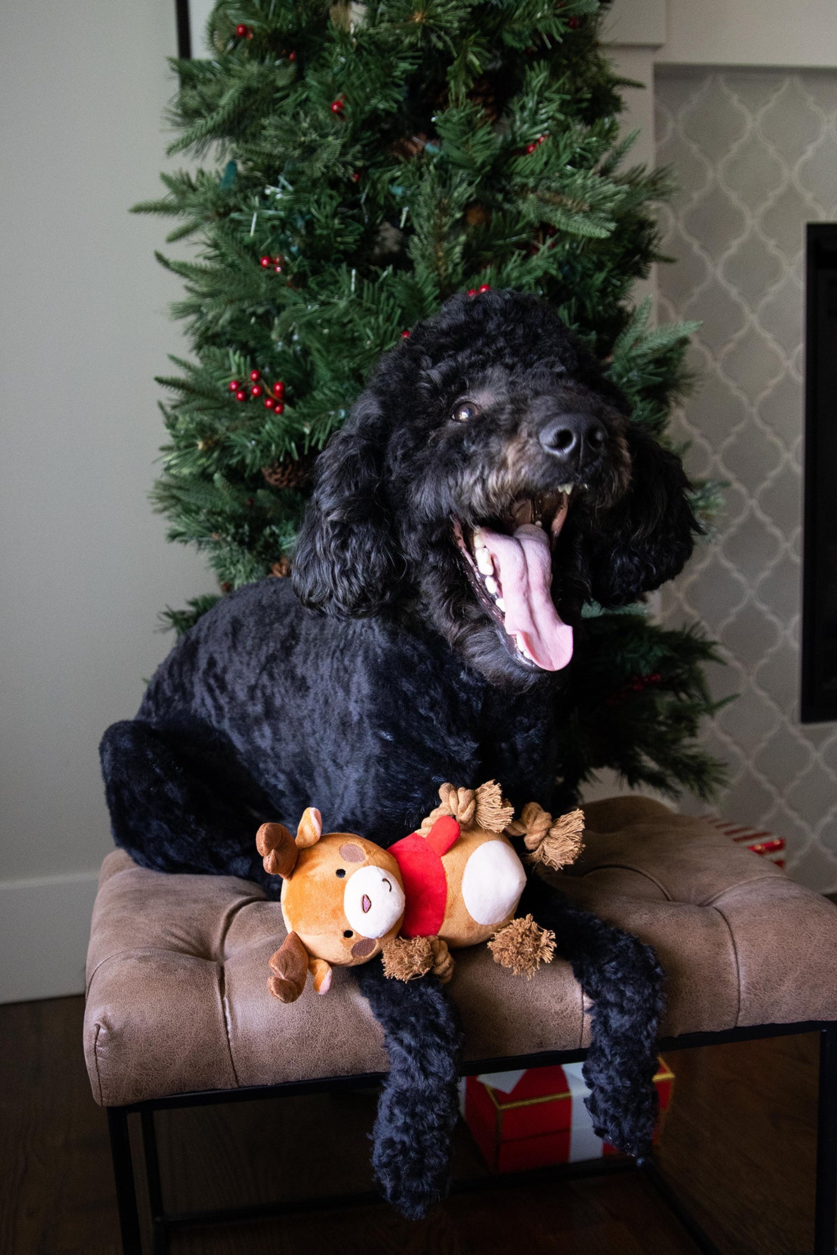 Pearhead Reindeer Dog Toy