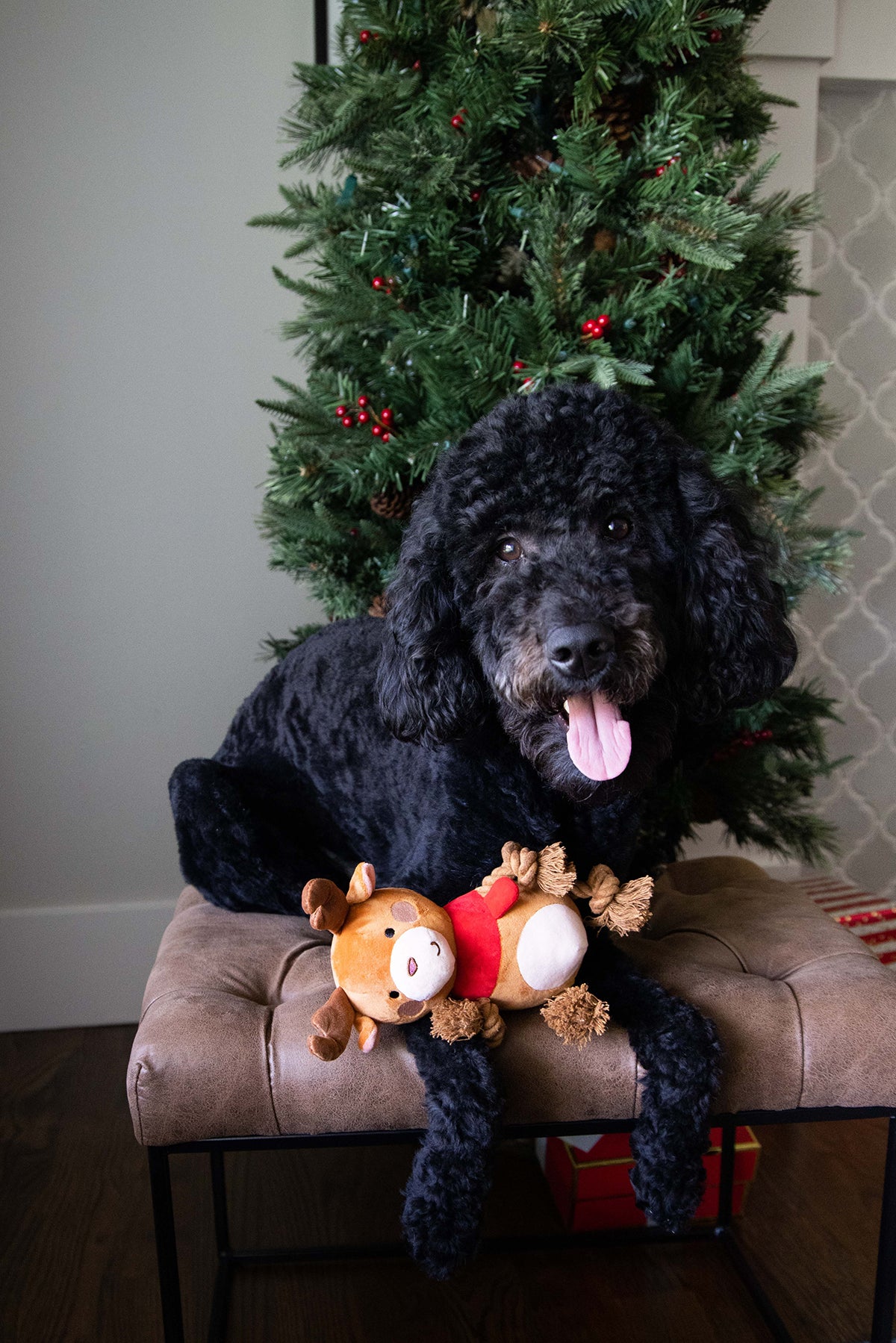 Pearhead Reindeer Dog Toy
