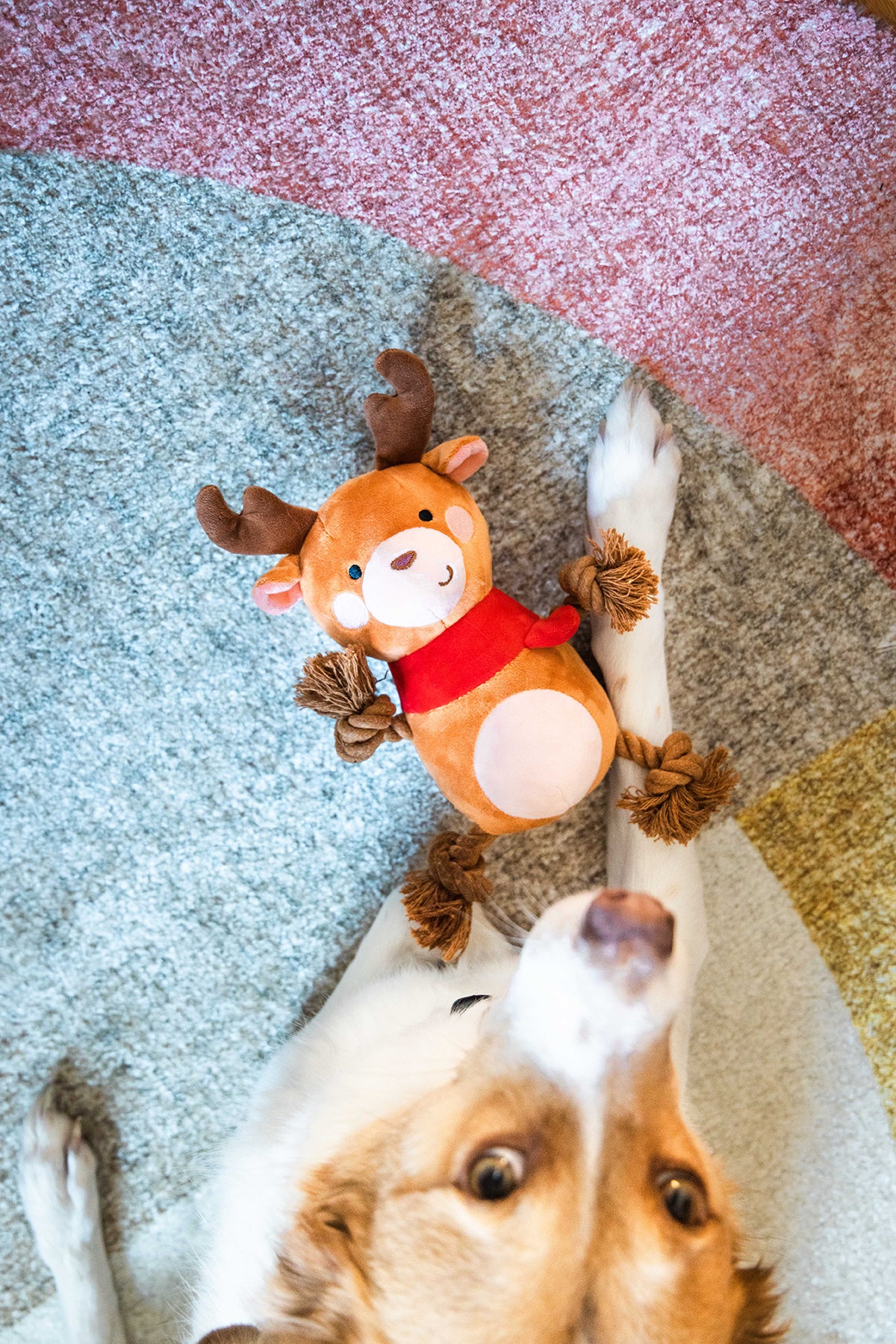 Pearhead Reindeer Dog Toy