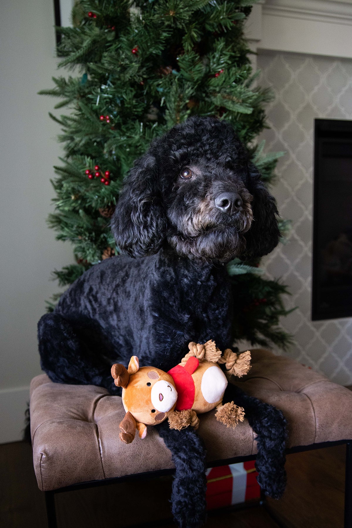 Pearhead Reindeer Dog Toy