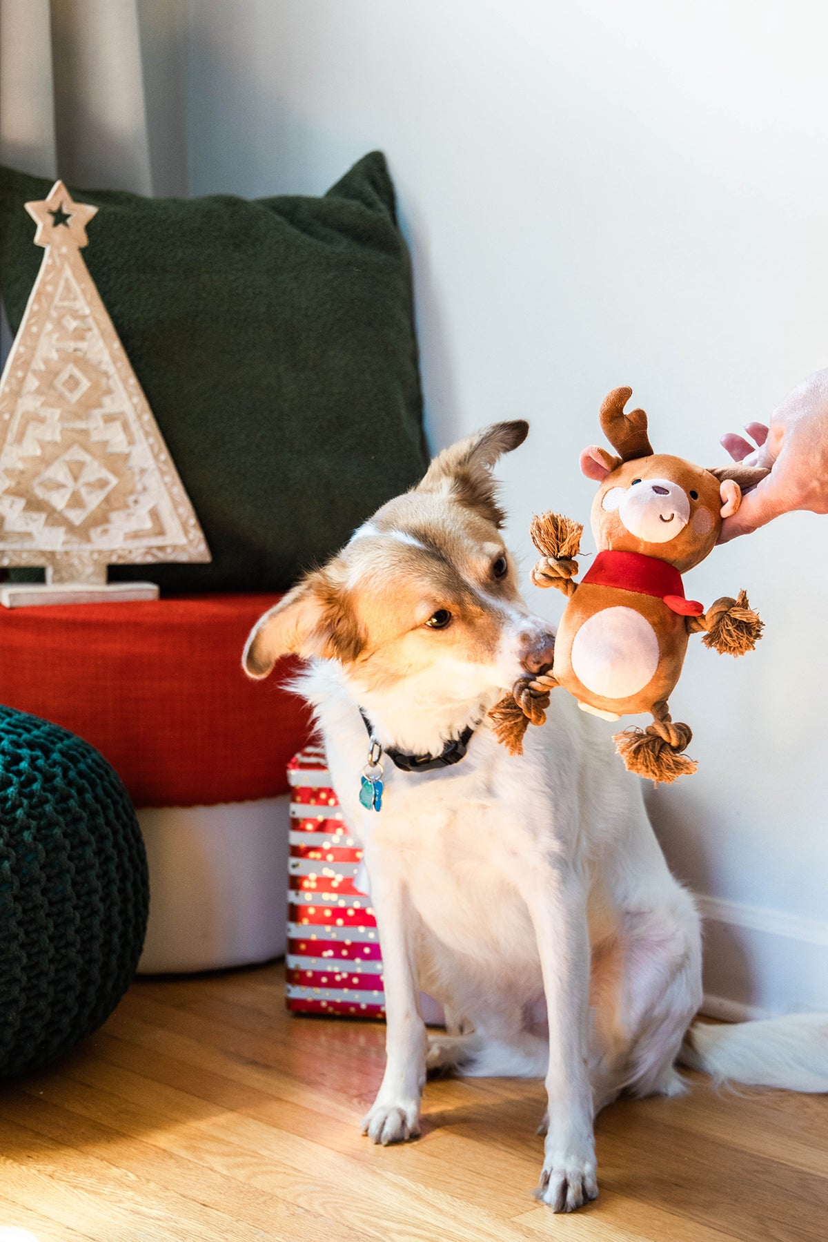 Pearhead Reindeer Dog Toy