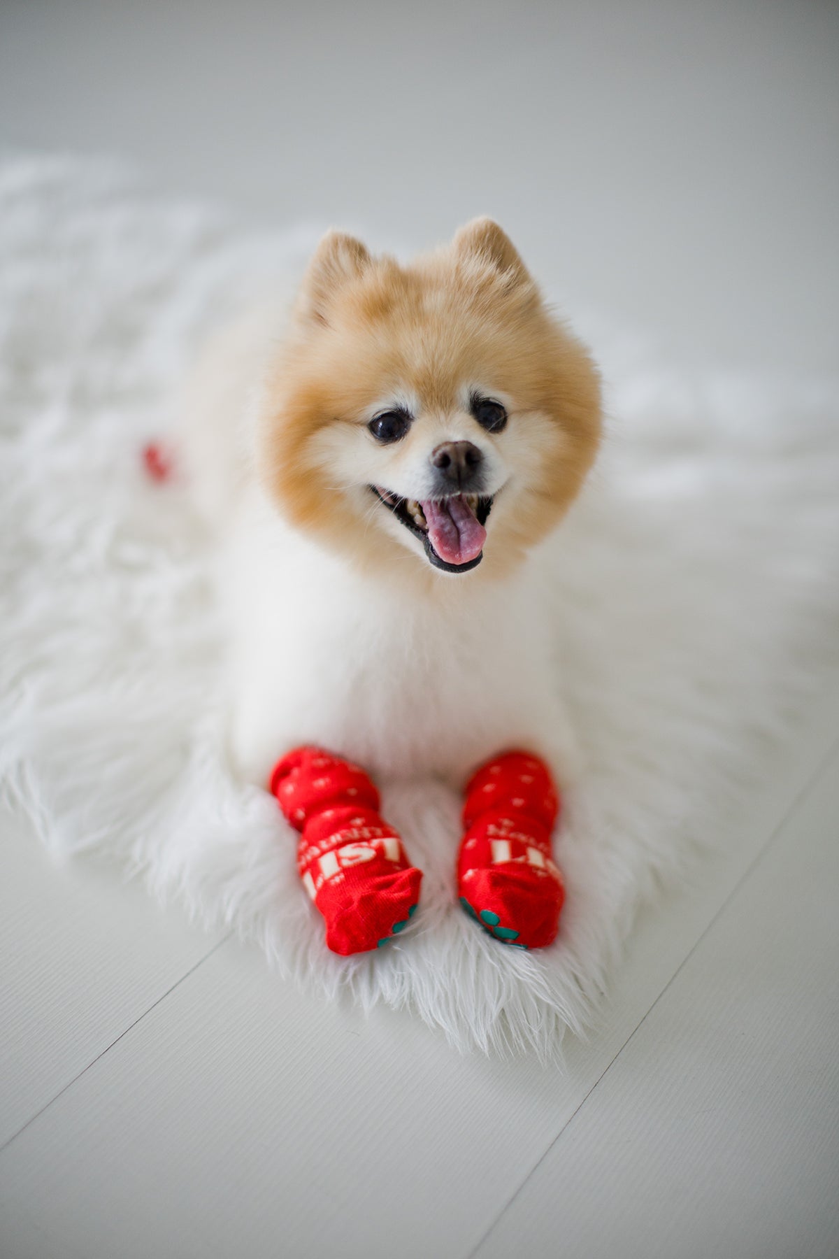 Pearhead Naughty List / Nice List Human and Dog Sock Set