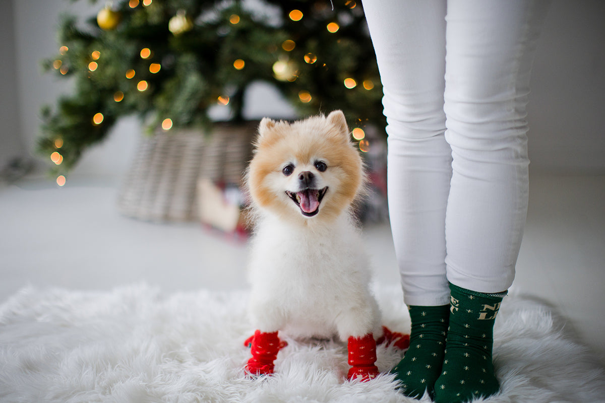Pearhead Naughty List / Nice List Human and Dog Sock Set