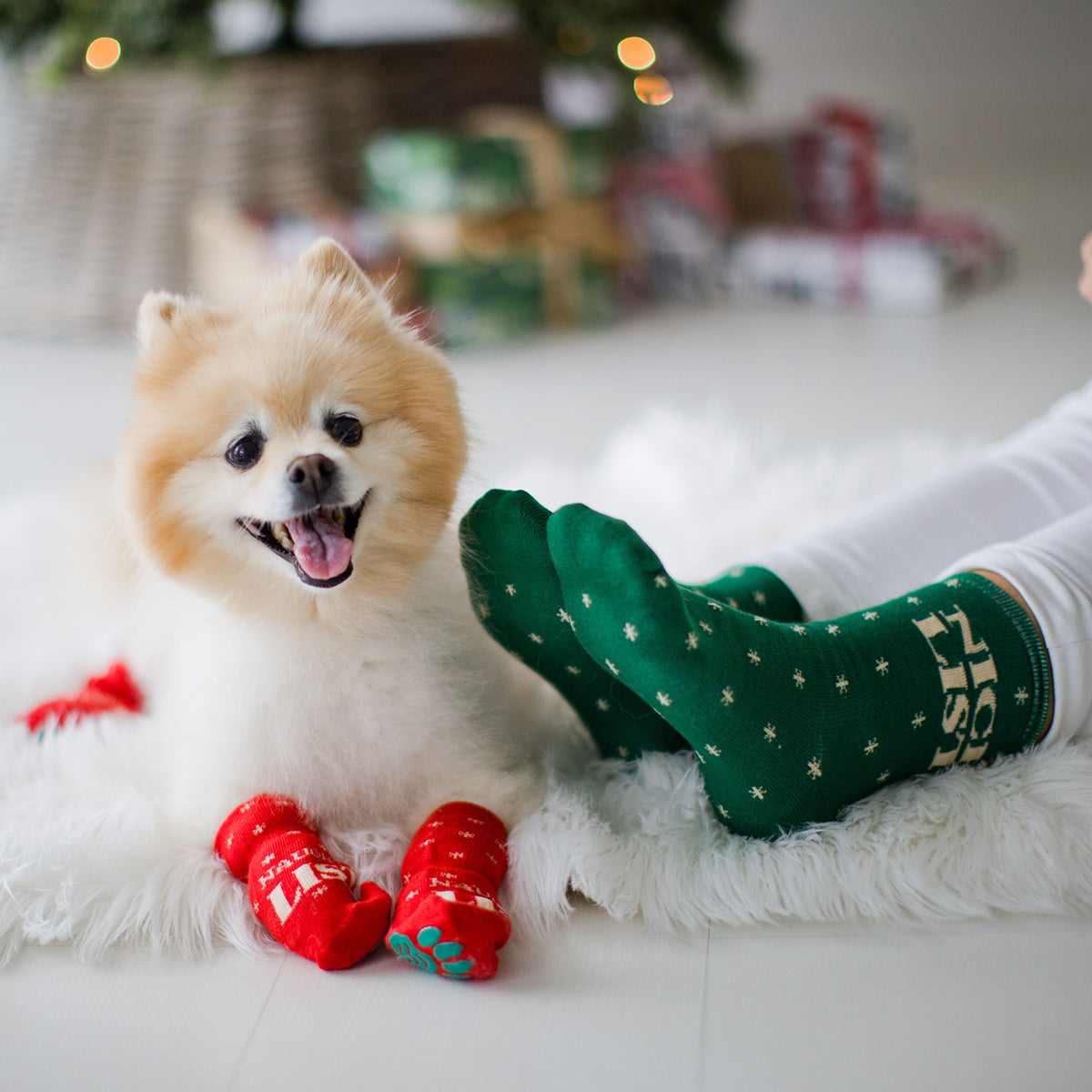 Pearhead Naughty List / Nice List Human and Dog Sock Set