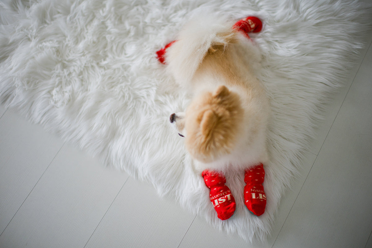 Pearhead Naughty List / Nice List Human and Dog Sock Set