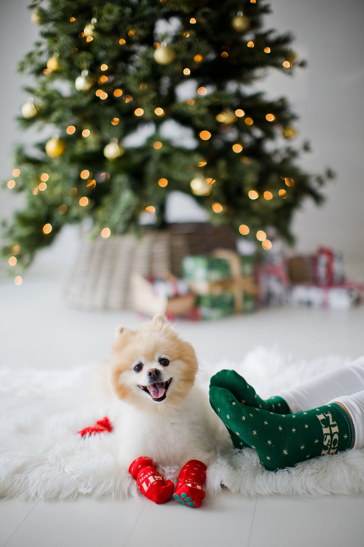 Pearhead Naughty List / Nice List Human and Dog Sock Set