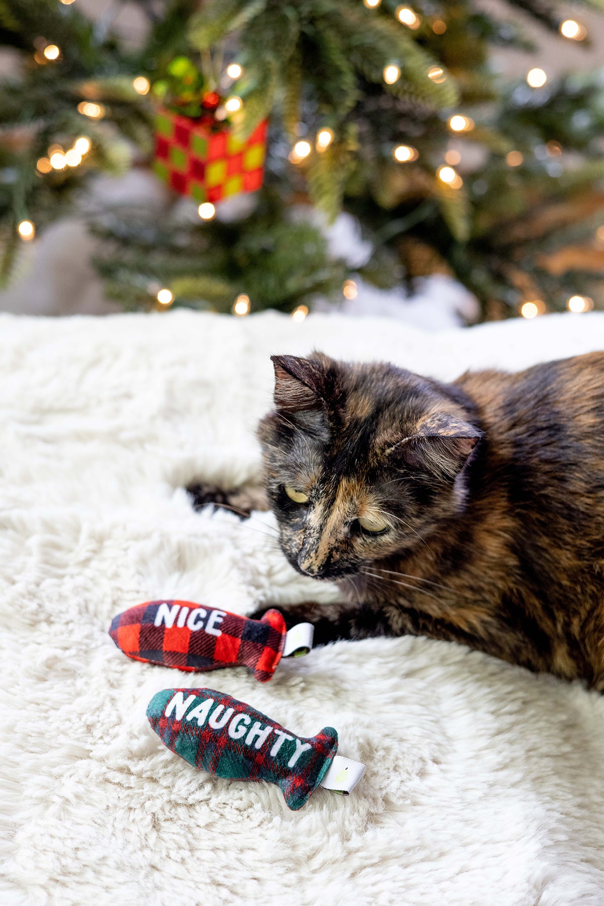 Pearhead Naughty Or Nice Cat Toy Set