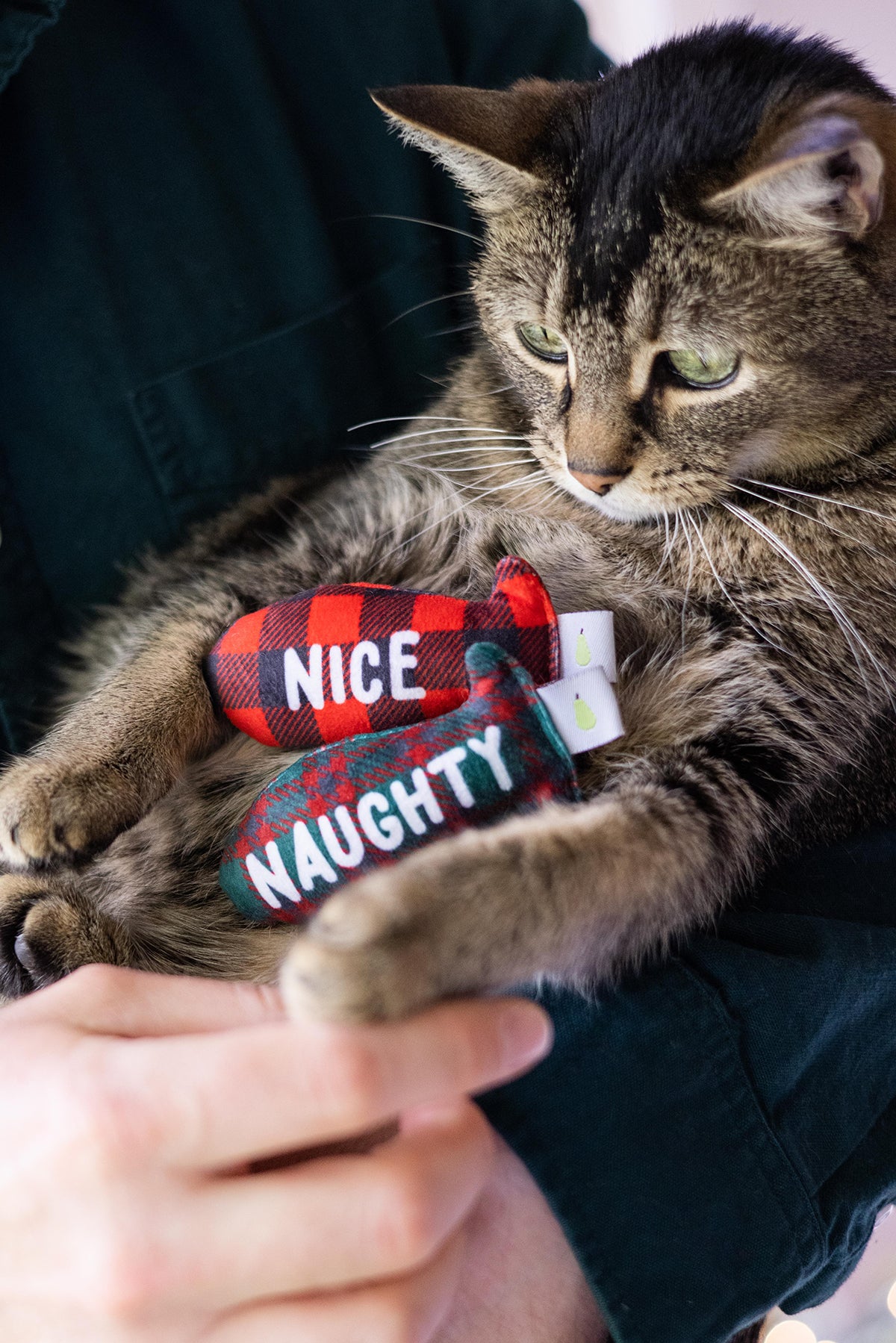 Pearhead Naughty Or Nice Cat Toy Set