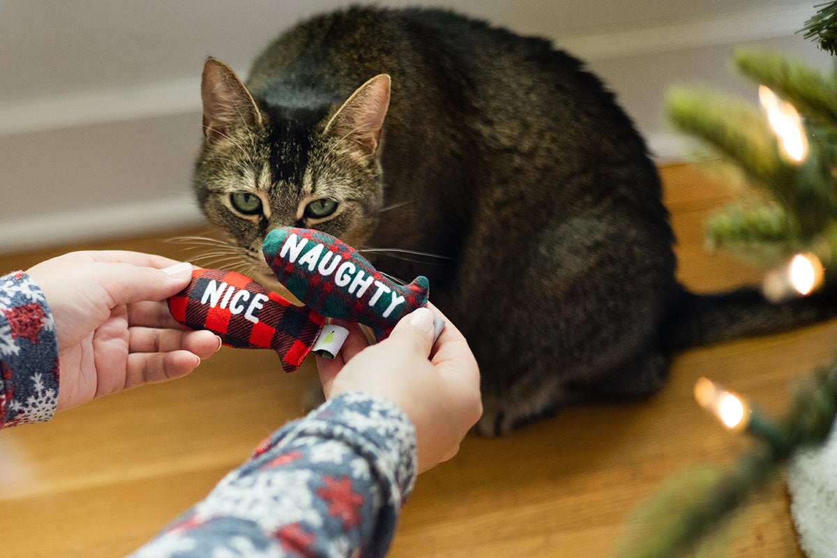 Pearhead Naughty Or Nice Cat Toy Set