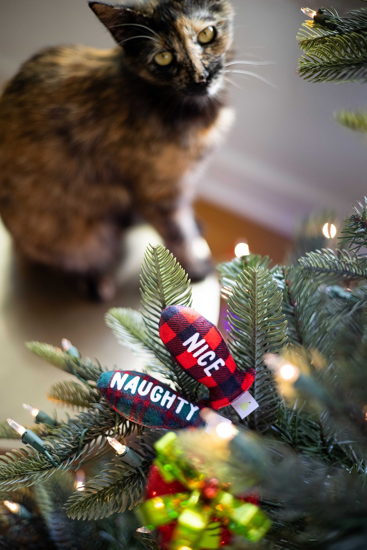 Pearhead Naughty Or Nice Cat Toy Set