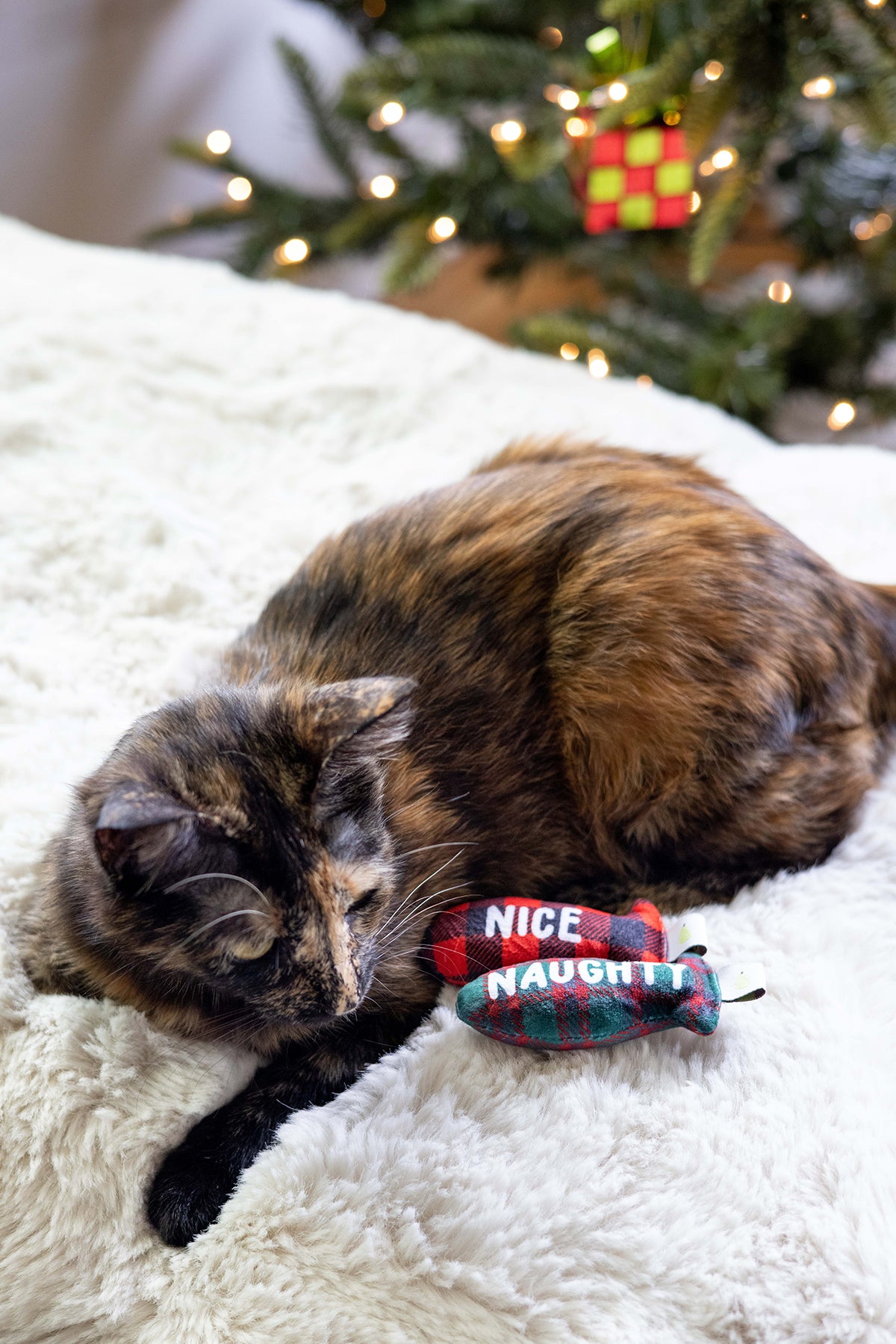 Pearhead Naughty Or Nice Cat Toy Set