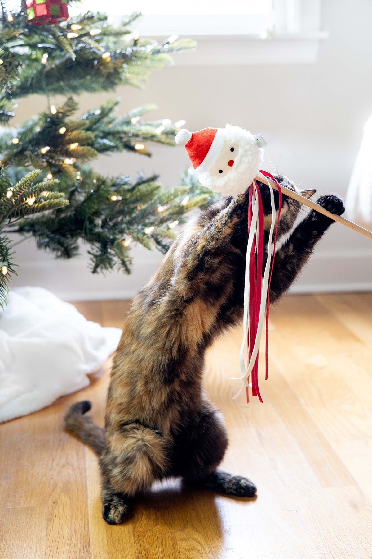 Pearhead Santa Teaser Cat Toy