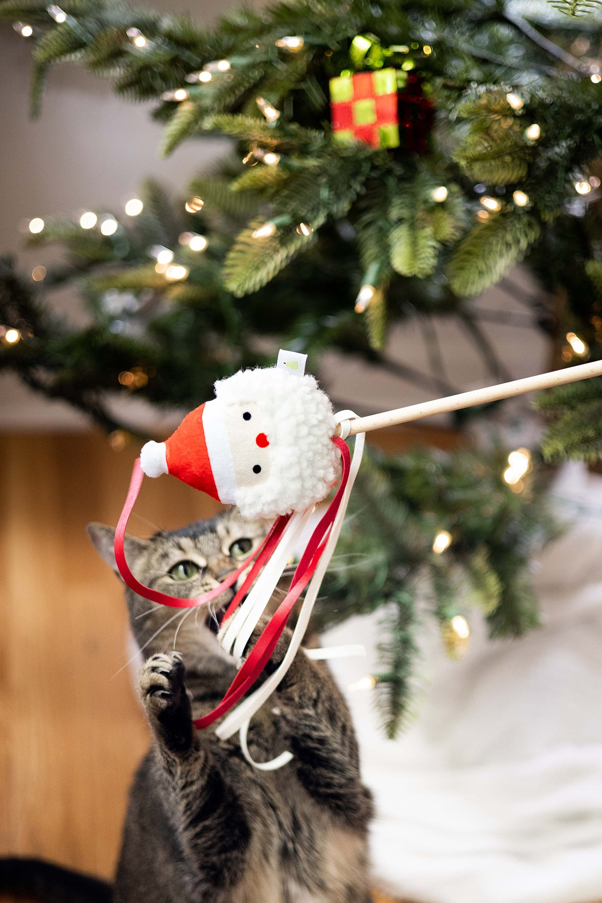 Pearhead Santa Teaser Cat Toy