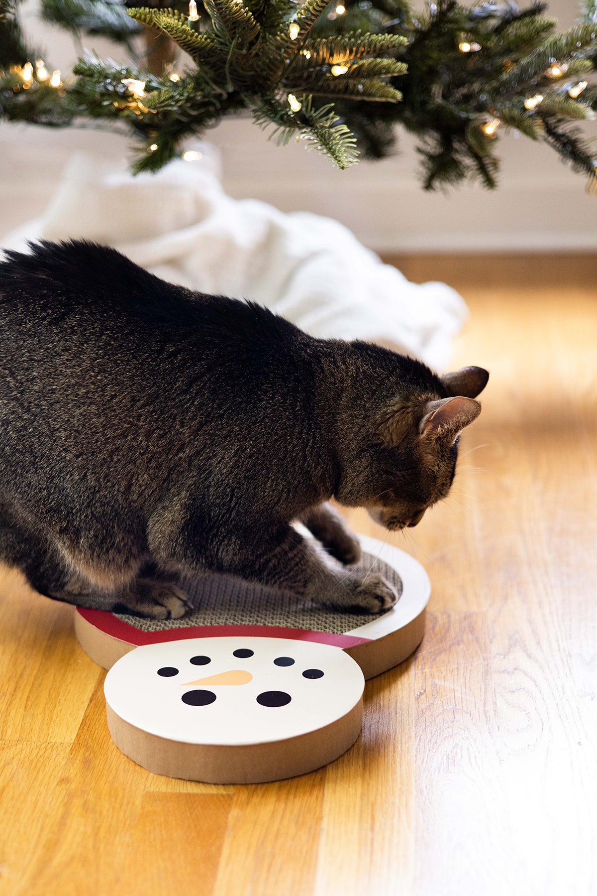 Snowman Scratch Pad Cat Toy