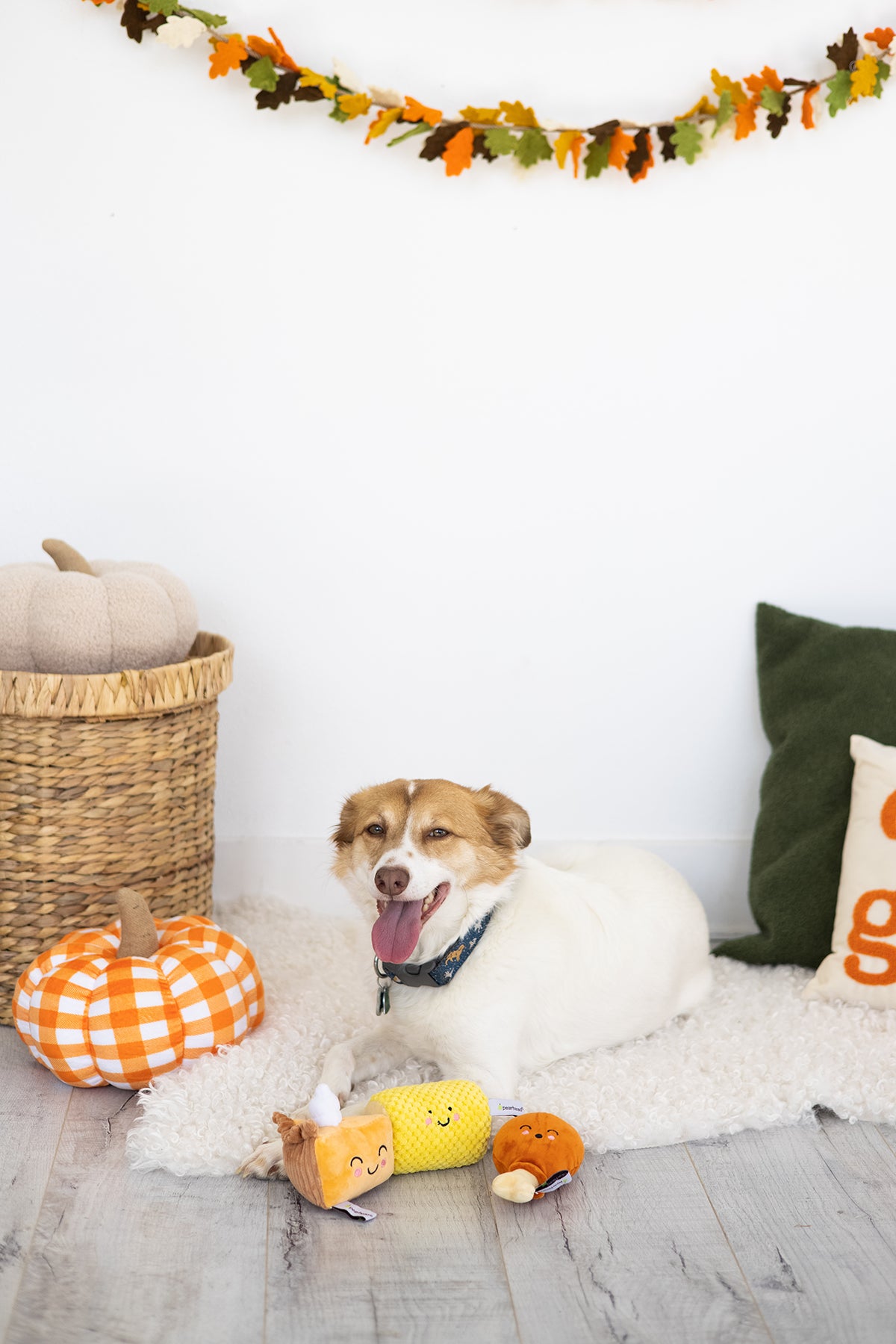 Pearhead Thanksgiving Dinner Dog Toy Set