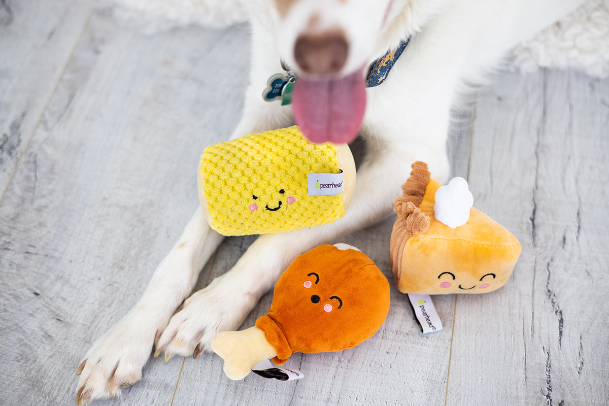 Pearhead Thanksgiving Dinner Dog Toy Set