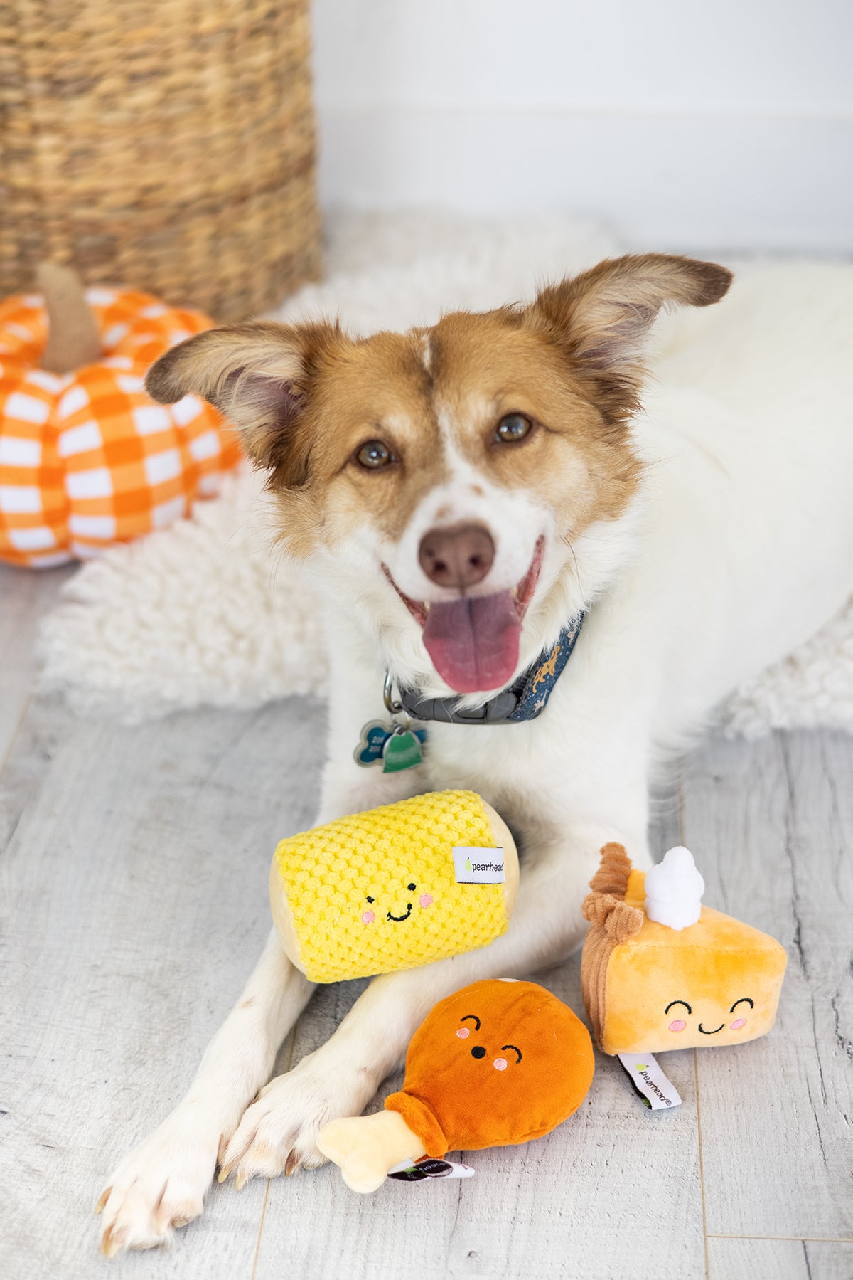 Pearhead Thanksgiving Dinner Dog Toy Set