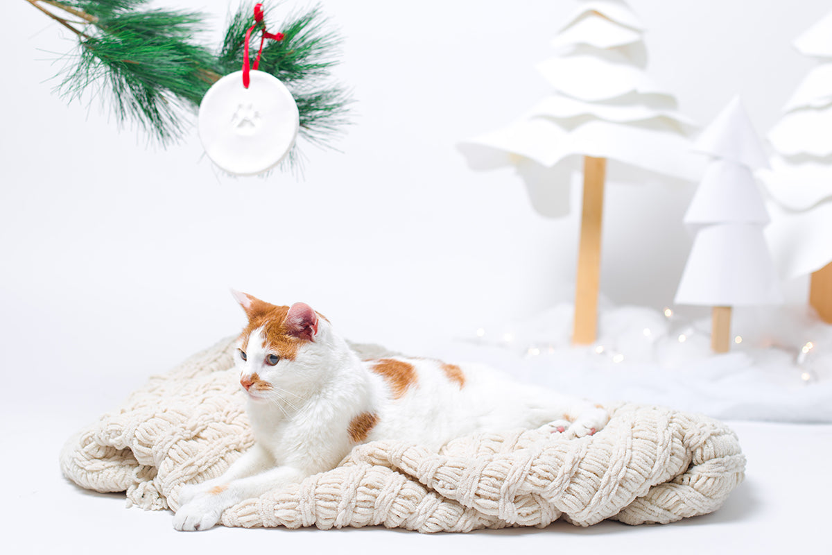 Pearhead Pawprints Ornament