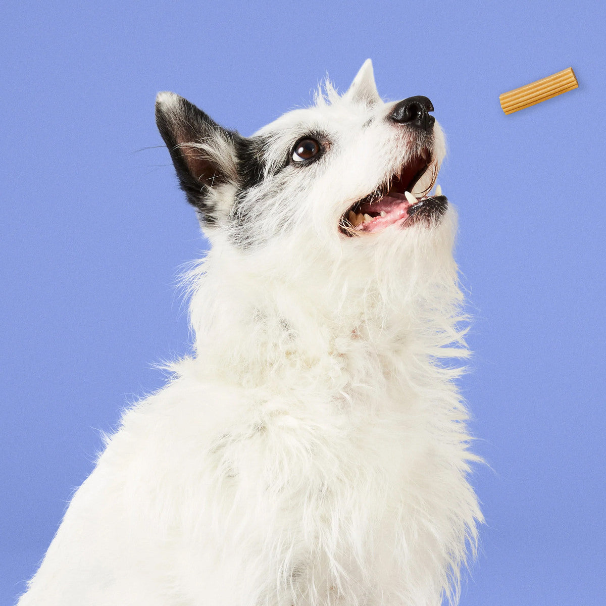 Project Hive Chew Stick Treats Small 7oz