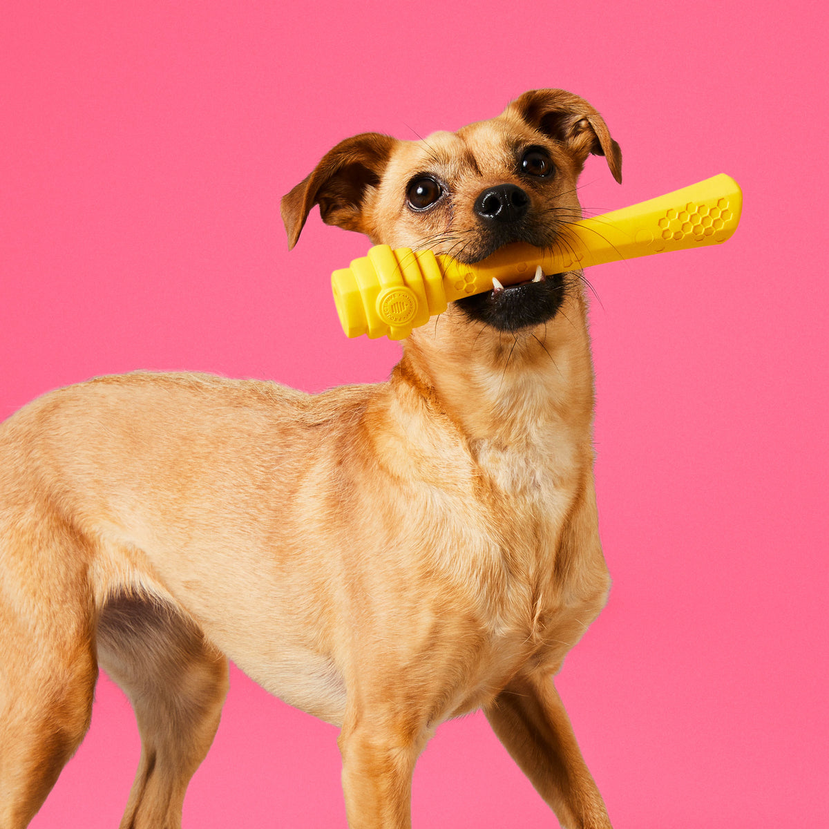 Project Hive Fetch Stick Yellow