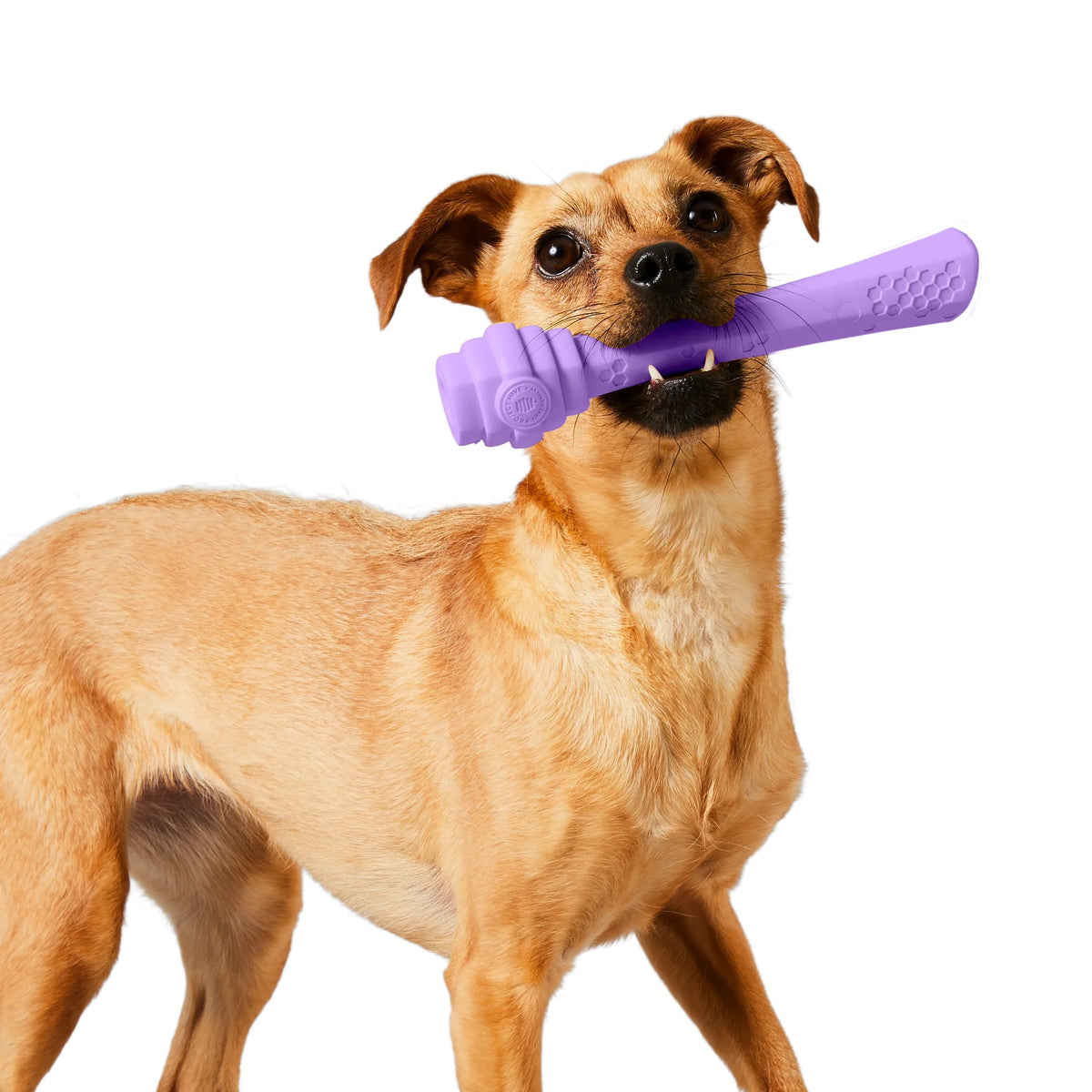 Project Hive Calming Lavender Scent Hive Fetch Stick Purple