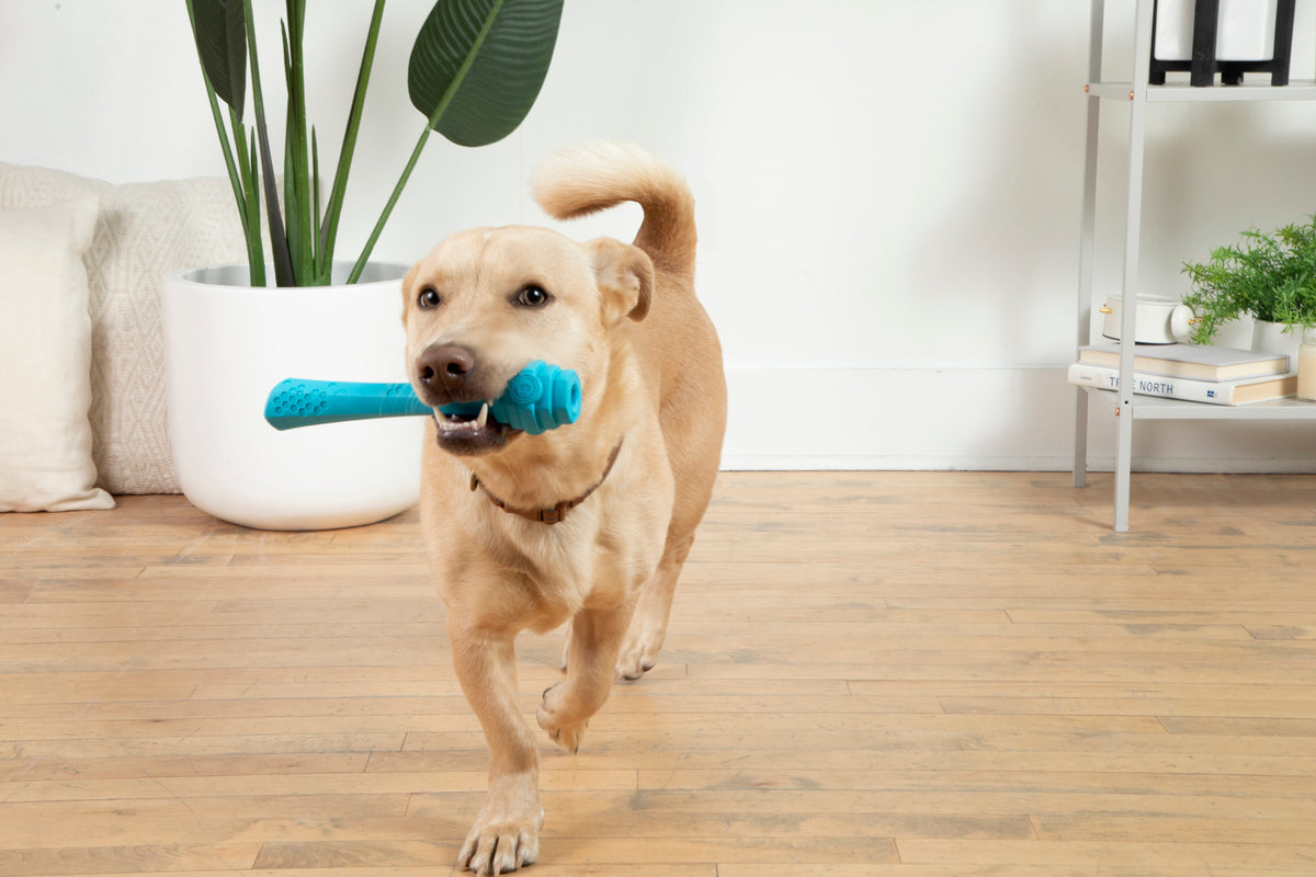 Project Hive Soothing Vanilla Scent Hive Fetch Stick Blue