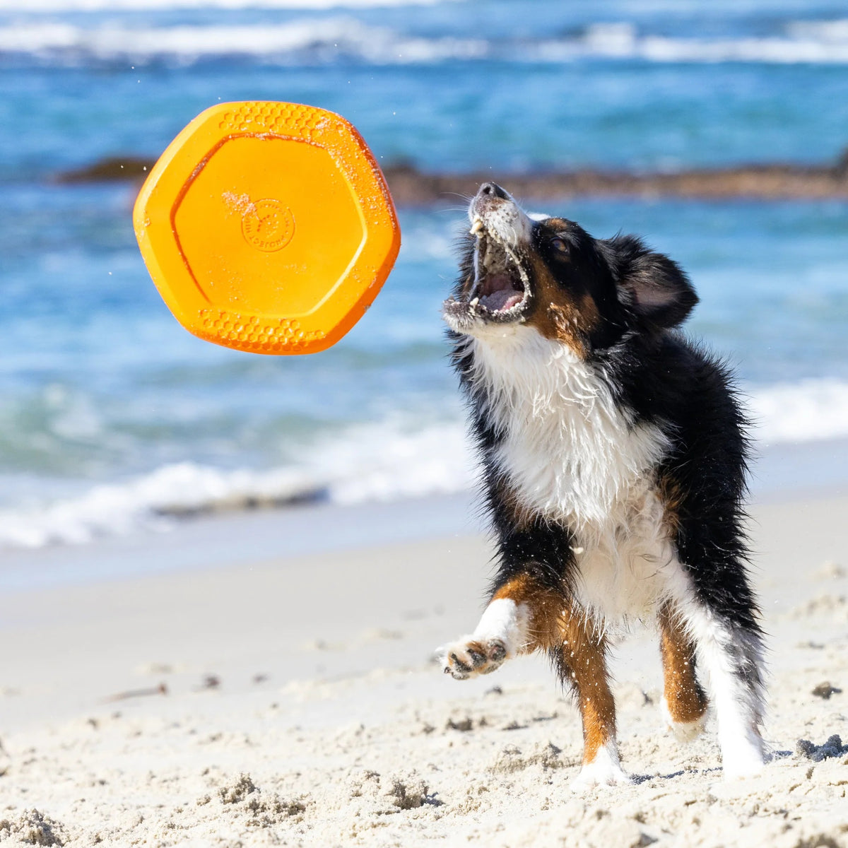 Project Hive Sweet Mango Scent Hive Disc & Lick Mat Orange