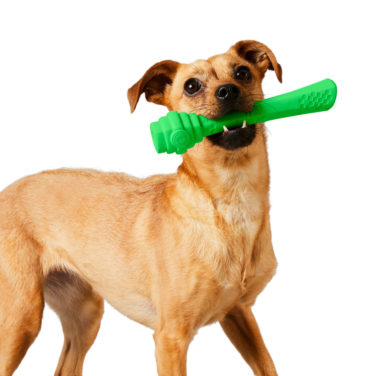 Project Hive Tropical Coconut Scent Hive Fetch Stick Green
