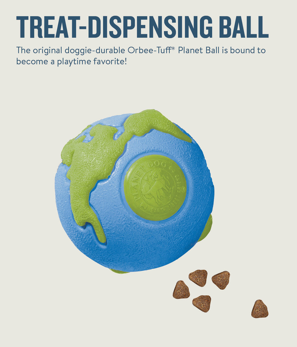 Planet Dog Orbee-Tuff Planet Ball Treat-Dispensing Dog Toy Blue/Green Medium