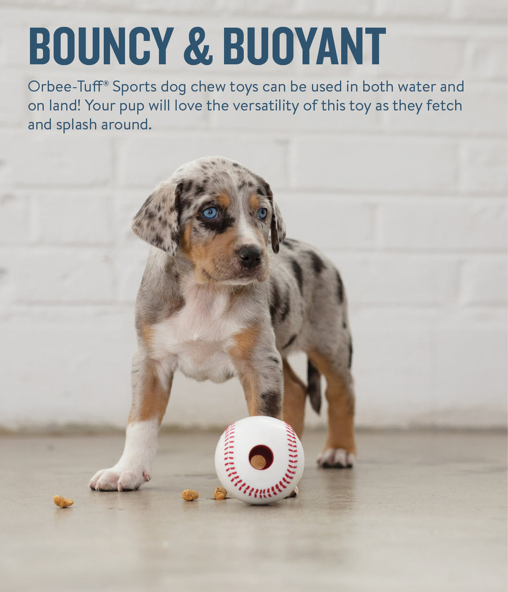 Planet Dog Orbee-Tuff Baseball Treat-Dispensing Dog Chew Toy White