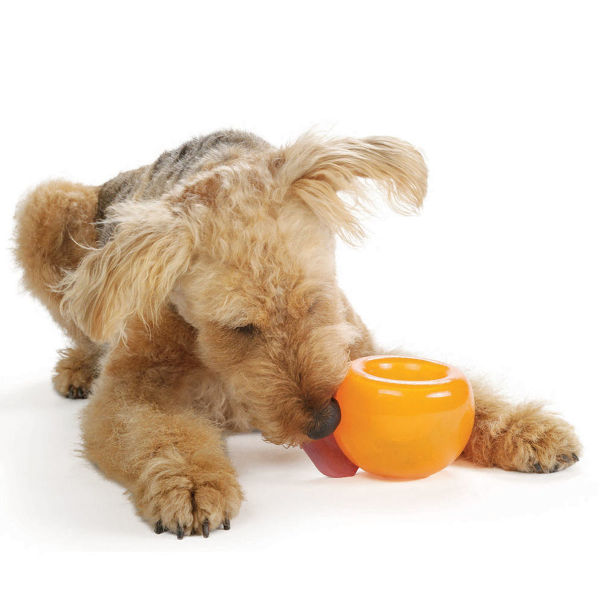 Planet Dog Orbee-Tuff Snoop Interactive Treat-Dispensing Dog Toy Orange
