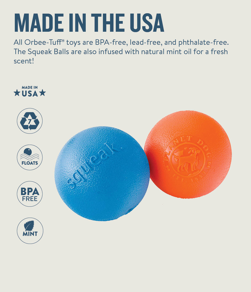 Planet Dog Orbee-Tuff Squeak Ball Dog Toy Blue