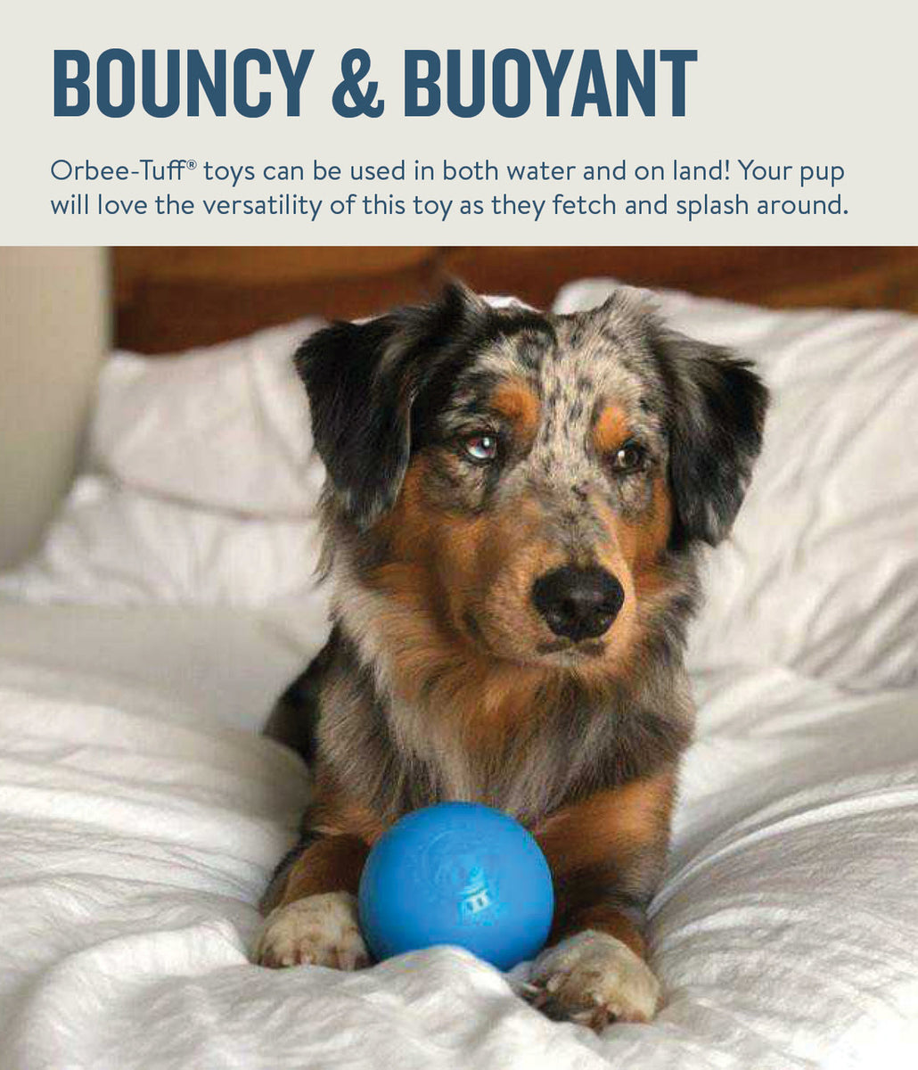 Planet Dog Orbee-Tuff Squeak Ball Dog Toy Blue