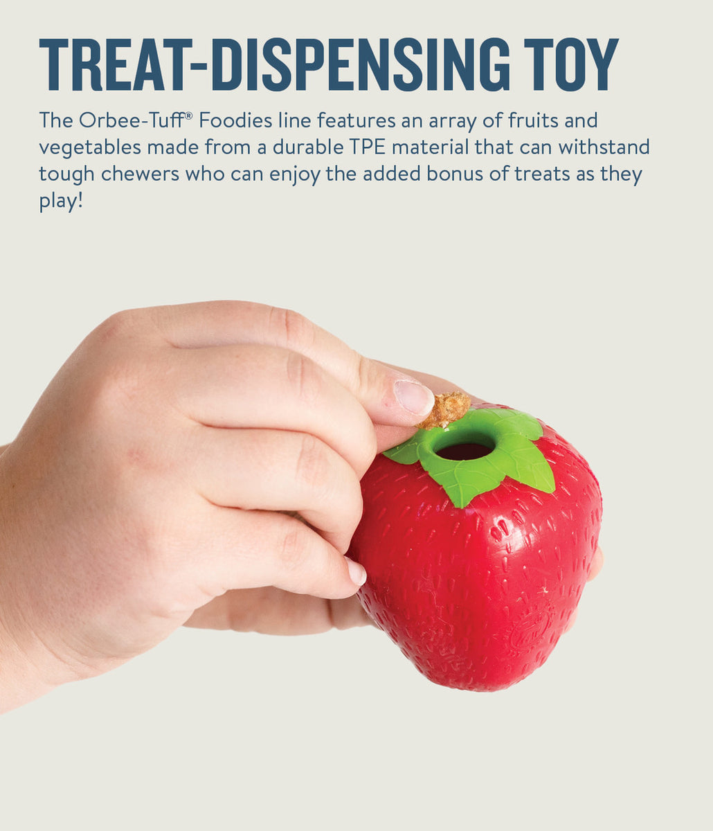 Planet Dog Orbee-Tuff Strawberry Treat-Dispensing Dog Chew Toy Red