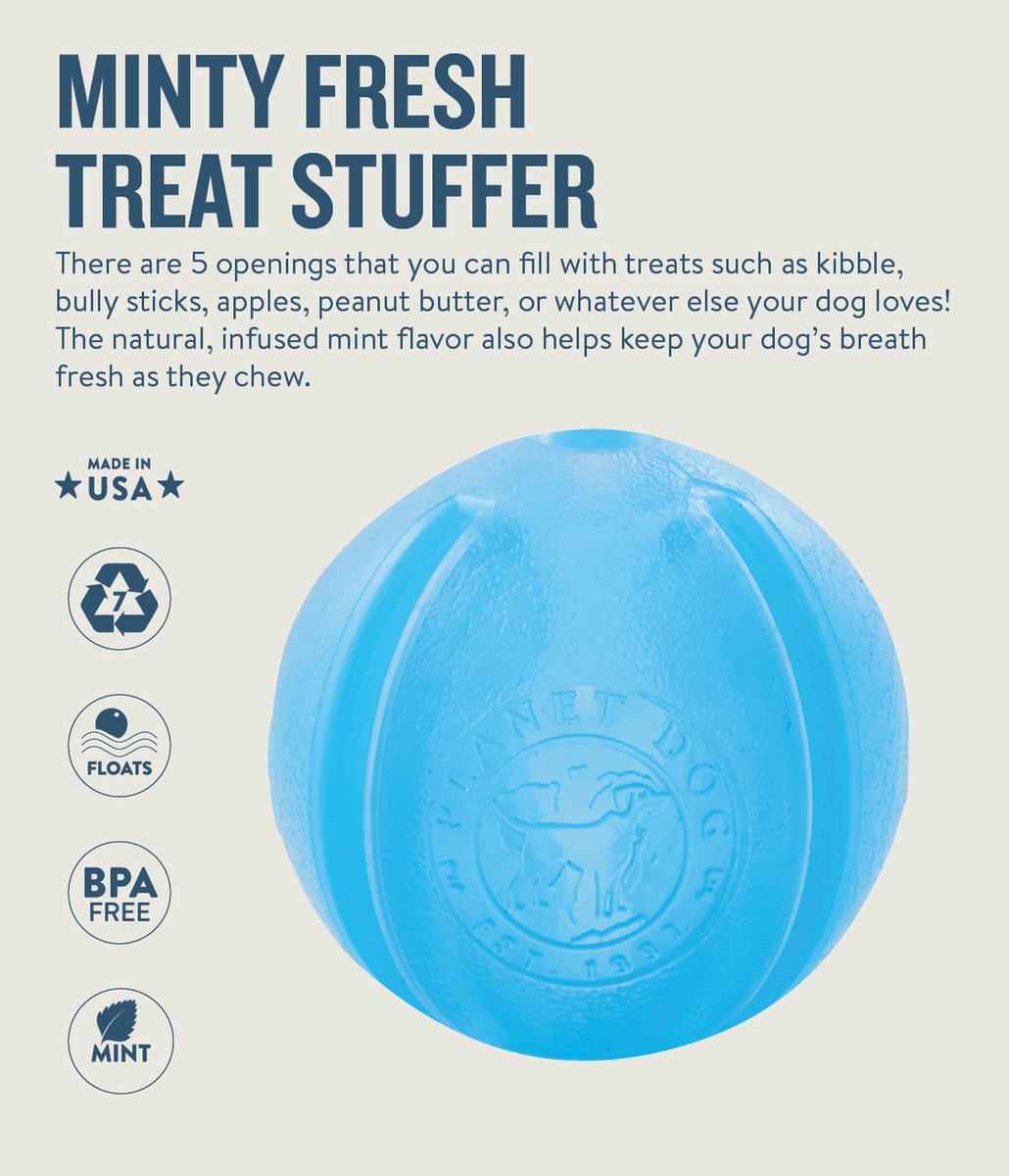 Planet Dog Orbee-Tuff Guru Treat-Dispensing Puzzle Dog Toy Blue