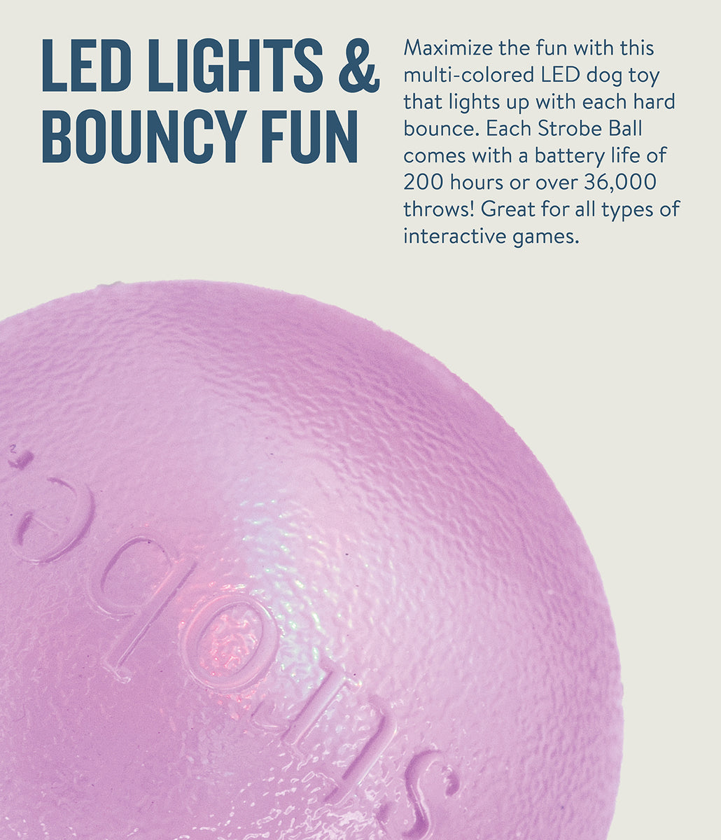 Planet Dog Orbee-Tuff Strobe Ball Light Up Dog Toy Purple