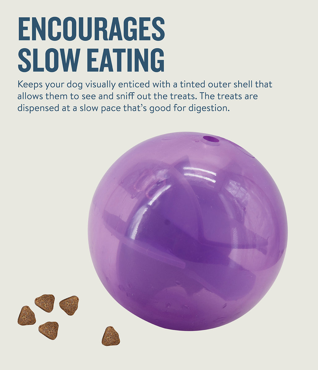Planet Dog Orbee-Tuff Mazee Interactive Puzzle Dog Toy Purple