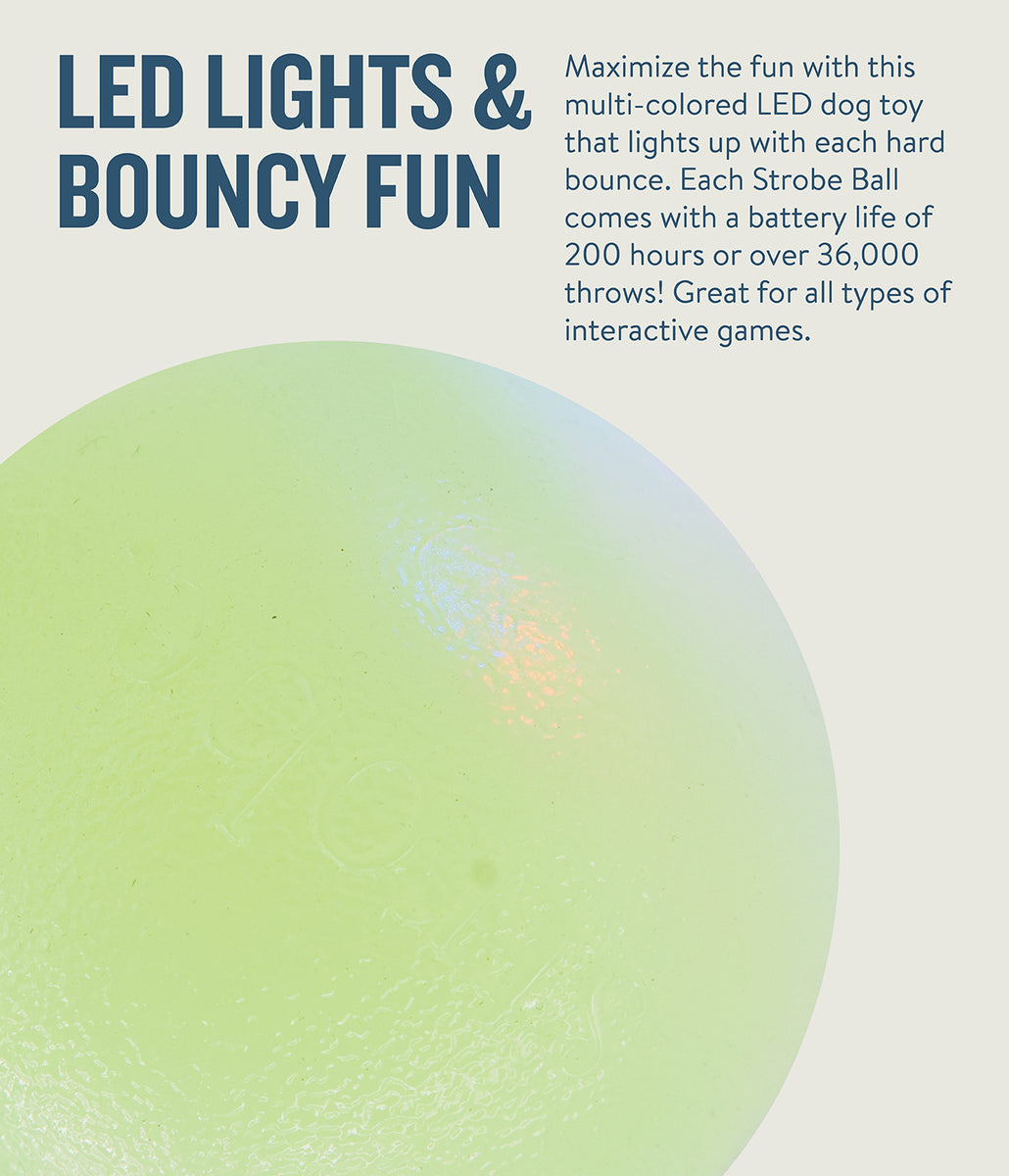 Planet Dog Orbee-Tuff Strobe Ball Light Up Dog Toy Green