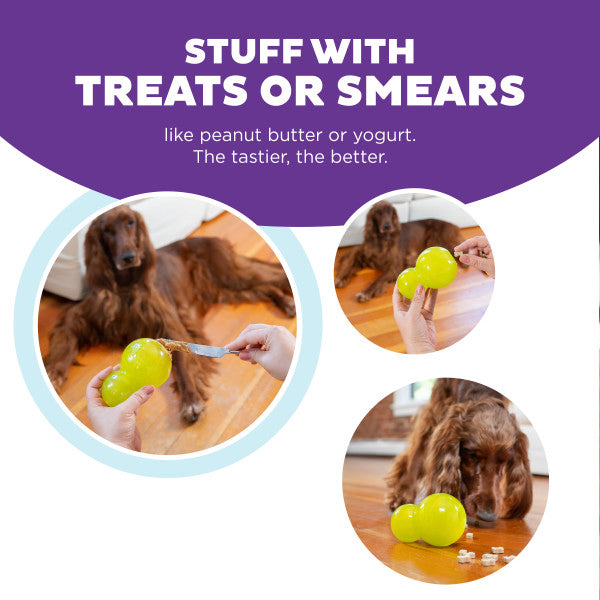 Planet Dog Double-Tuff TNT Interactive Treat-Dispenser Dog Toy Green Large