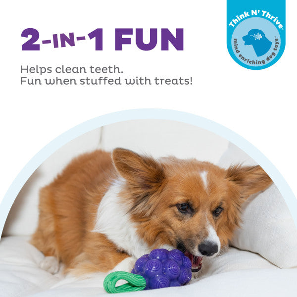 Planet Dog Dental Grapes Dog Chew Toy Purple Medium