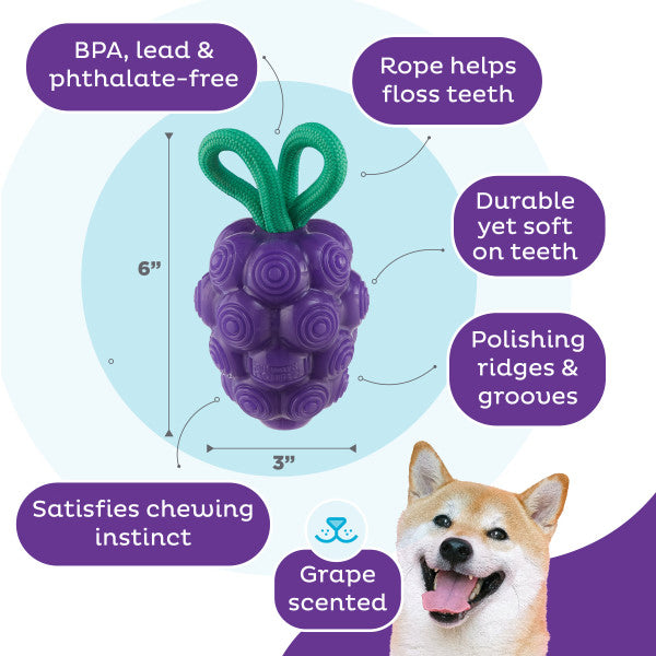Planet Dog Dental Grapes Dog Chew Toy Purple Medium