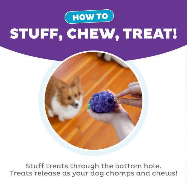 Planet Dog Dental Grapes Dog Chew Toy Purple Medium