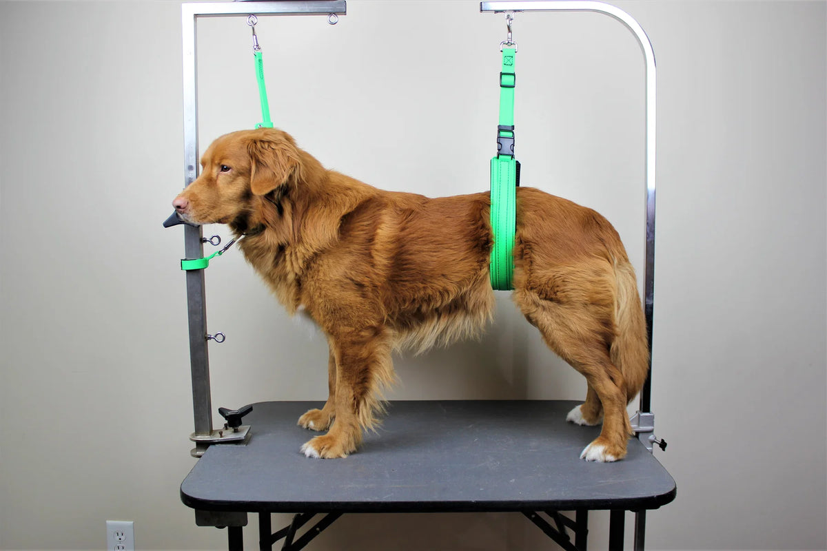 Pro-Mohs Biothane Belly Loop