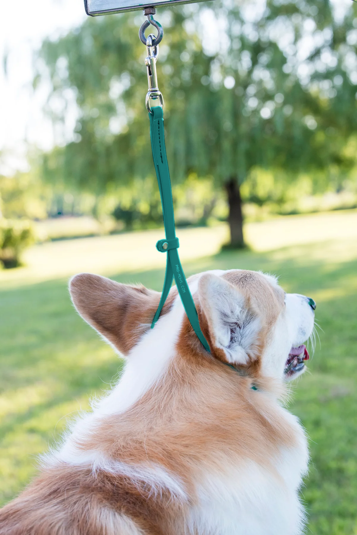 Pro-Mohs Biothane Grooming Loop w Ring